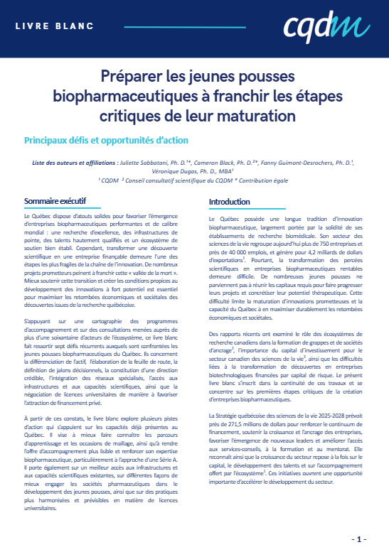 Visuel Livre blanc bis